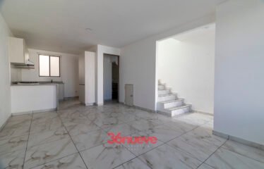 ADARA LIFESTYLE 539165