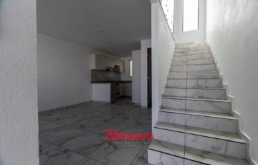 ADARA LIFESTYLE 539165