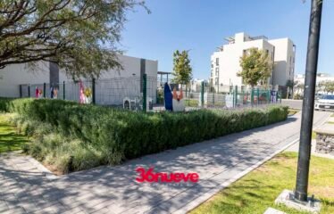 ALLEZA MIRADOR 539131